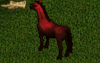 mare.png