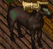 zzmare.png