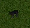 Shadow Hound.PNG Shadow Hound.PNG