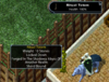 totem.png