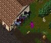 faction horses 5 2014a.jpg