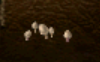 Screenshot 2025-05-31 154549.png Screenshot 2025-05-31 154549.png
