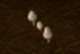 Screenshot 2025-05-31 154555.png Screenshot 2025-05-31 154555.png