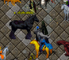 11.png
