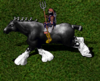 run.PNG