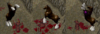 1749446738598.png
