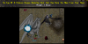 Crimson Dragon Egg.png