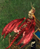 1752923900594.png