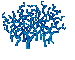 Coral.png