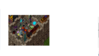 cap.png