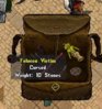 felvic2.JPG