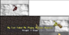 Capturee.PNG