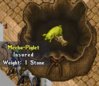 MEchaPig2.jpg MEchaPig2.jpg