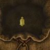 Mikos Lantern.JPG Mikos Lantern.JPG
