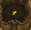 lotus flower.JPG lotus flower.JPG