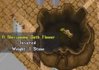 oath flower2.jpg oath flower2.jpg