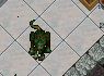 diseased rat 2.JPG diseased rat 2.JPG