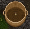 Jars of Honey.png