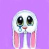Bunny cries.jpg