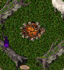 raresrubblefirepit.jpg raresrubblefirepit.jpg