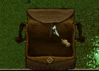 pic 4.png