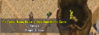 bunny.png bunny.png