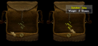 dung.png dung.png