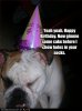 funny-dog-pictures-birthday-socks.jpg