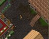 town5 copy.jpg