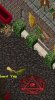 town6 copy.jpg