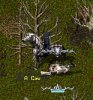 cowtippingcrop.jpg