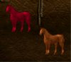 horses.jpg
