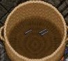 bones2.JPG