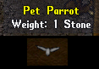 Parrot2.png