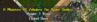 BlackSpider.PNG
