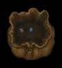 rares50m.jpg
