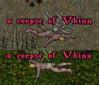 Vhinn.png