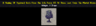 A Sapling.png