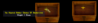 Europa 9-28-24.png