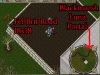 Fel brit 18x18.jpg