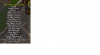 tunic kinetic.png