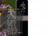 si10tunic.jpg