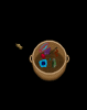 arwen.png