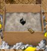 haunted bed.png