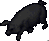 Necropiglet.png