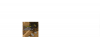 Halloween 2009 (1).png