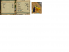 Resists Blaze Cu.png