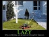 Lazy.JPG