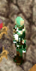 spirit.PNG