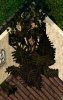 brown.JPG brown.JPG
